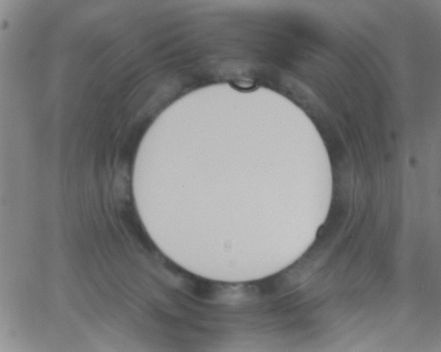 X0000062670083200601181911