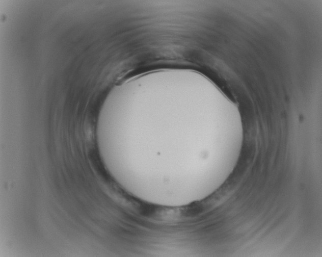 X0000062670084200601181911