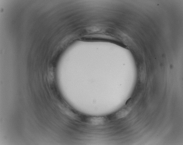 X0000062670085200601181911