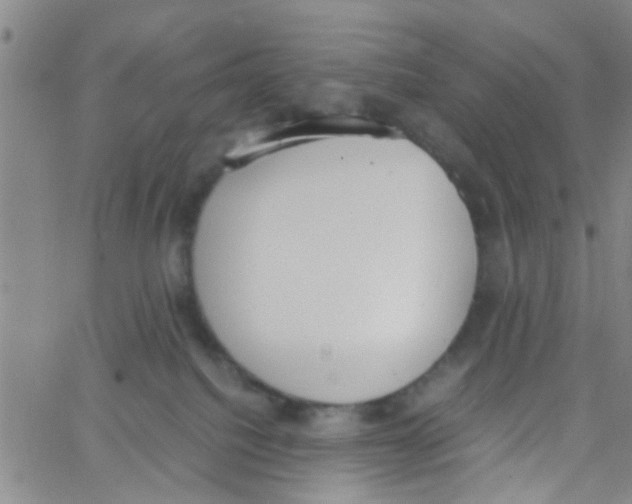 X0000062670088200601181911