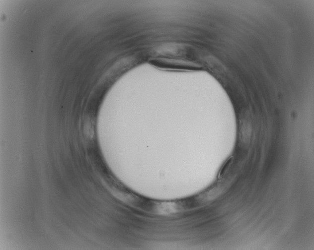 X0000062670091200601181911