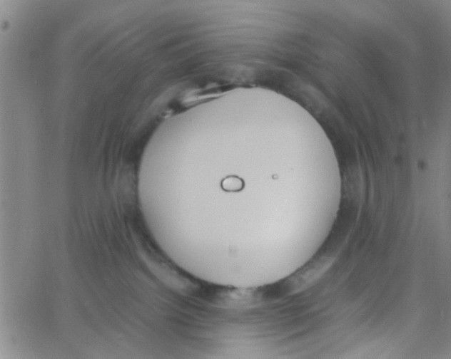 X0000062670092200601181911