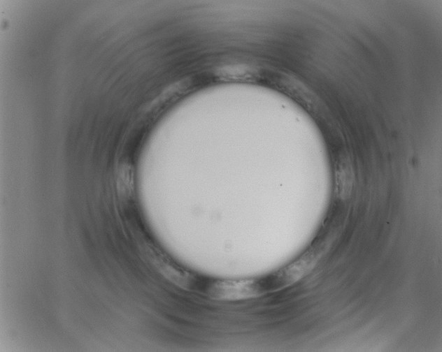 X0000062670093200601181911