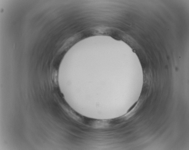 X0000062670094200601181911