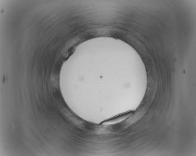 X0000062670096200601181911