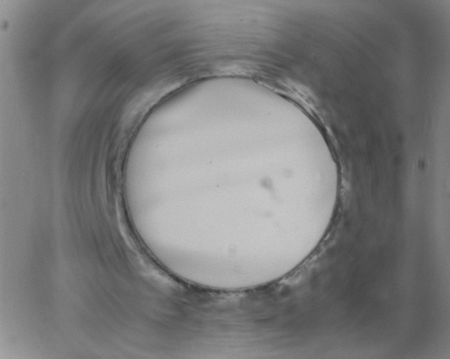 X0000062670097200601181910