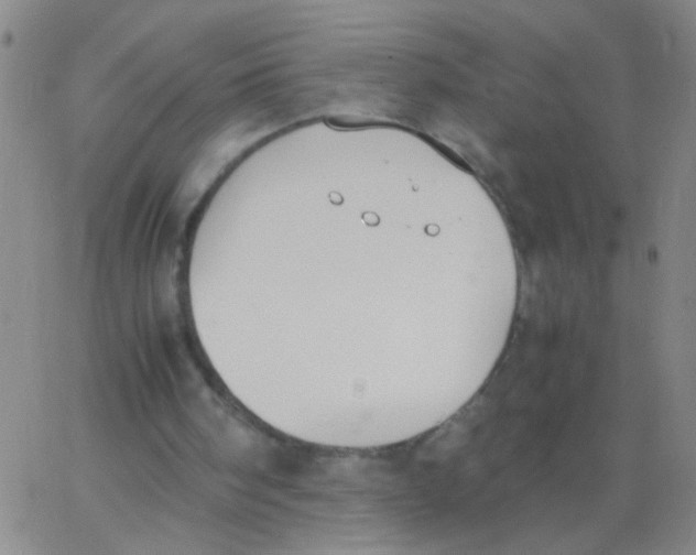 X0000062670098200601181910