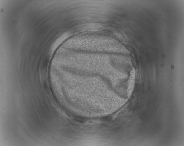 X0000062670099200601181910