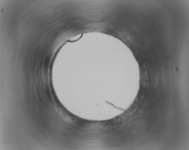 X0000062670100200601181910