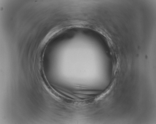 X0000062670101200601181910