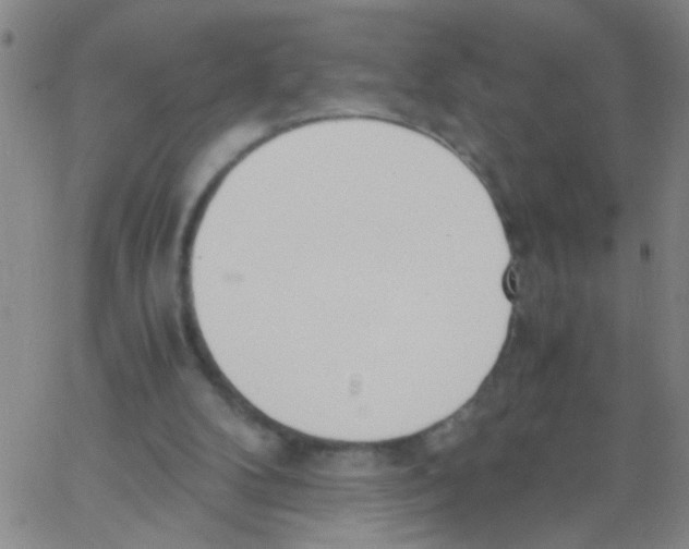 X0000062670104200601181910