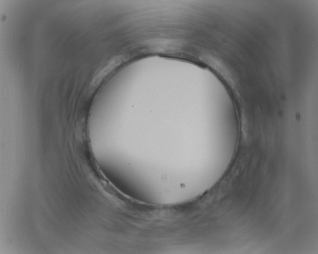 X0000062670105200601181910