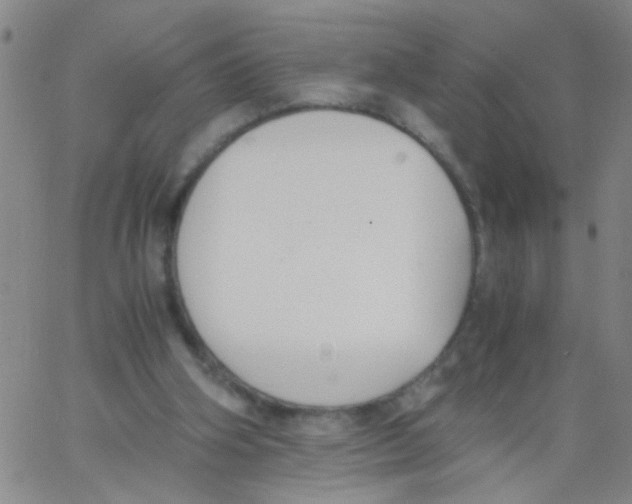 X0000062670106200601181910