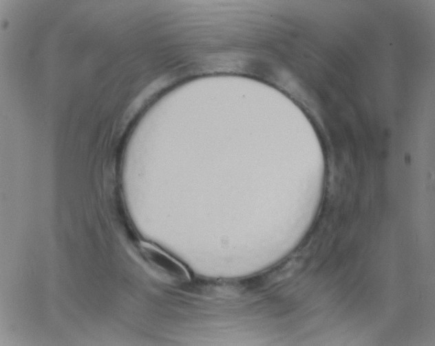 X0000062670107200601181910