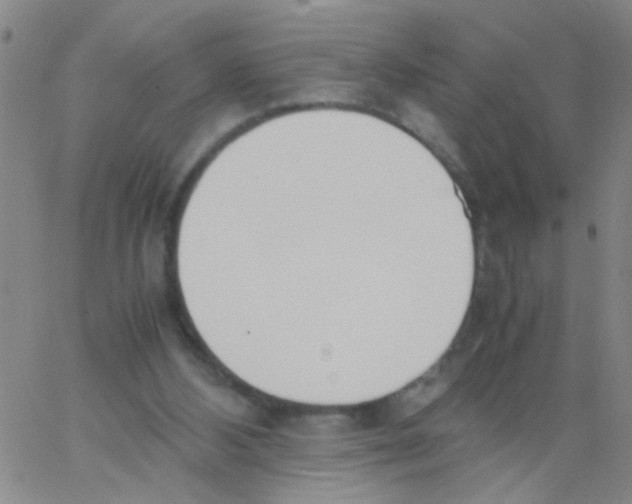 X0000062670108200601181910