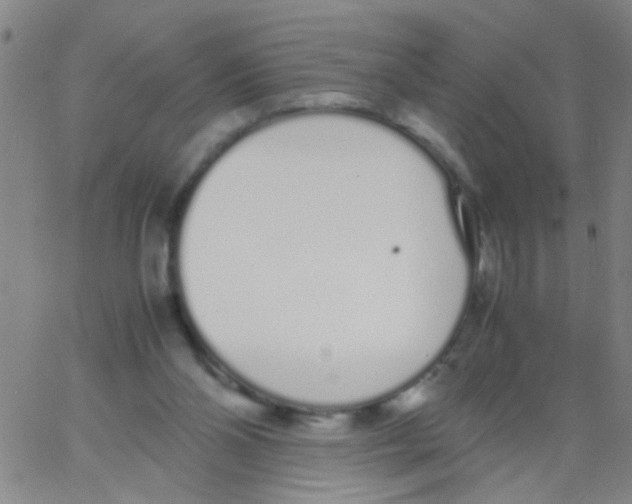 X0000062670110200601181910