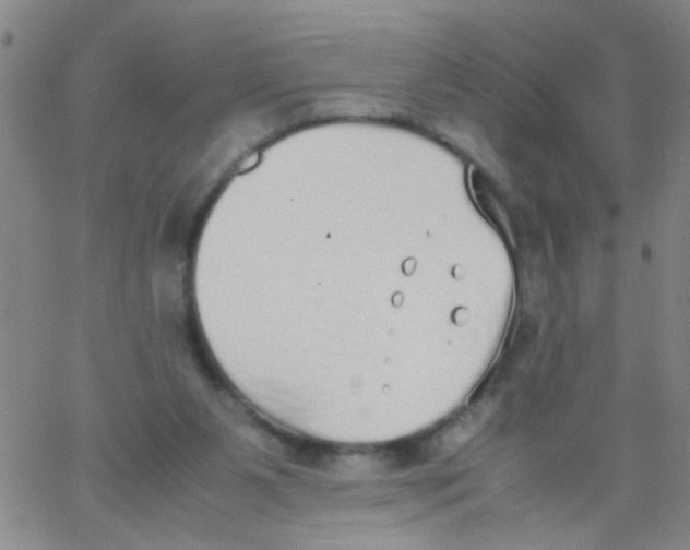 X0000062670111200601181910