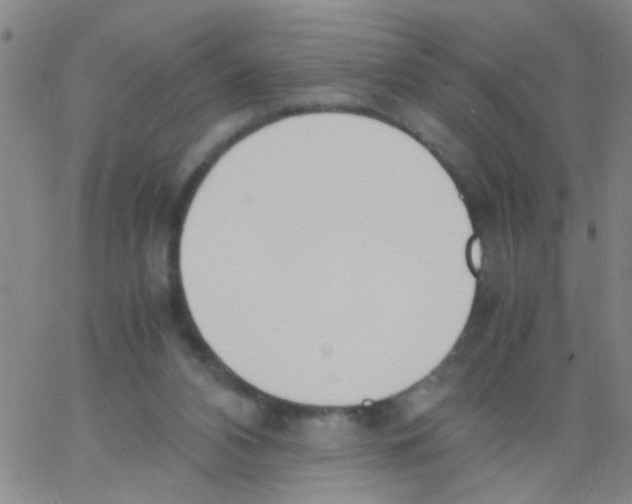 X0000062670112200601181910