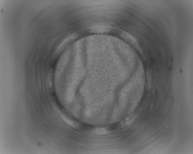 X0000062670114200601181910