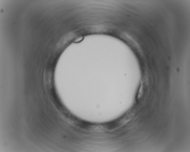 X0000062670115200601181910