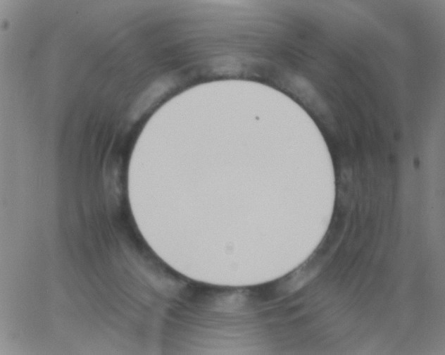 X0000062670116200601181910