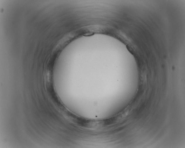 X0000062670117200601181910