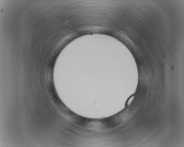 X0000062670119200601181910