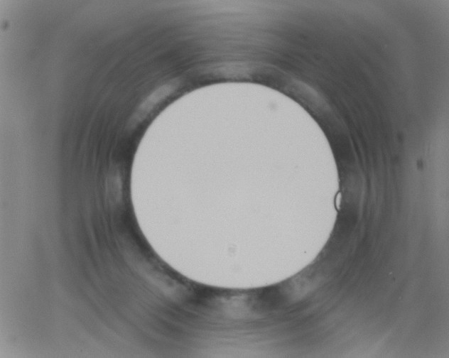 X0000062670120200601181910