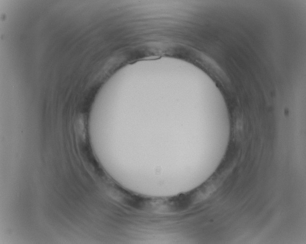 X0000062670121200601181910