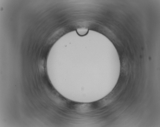 X0000062670122200601181910