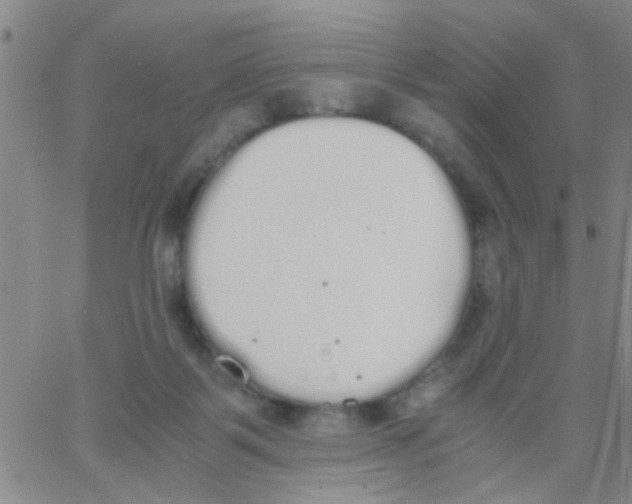 X0000062670123200601181910