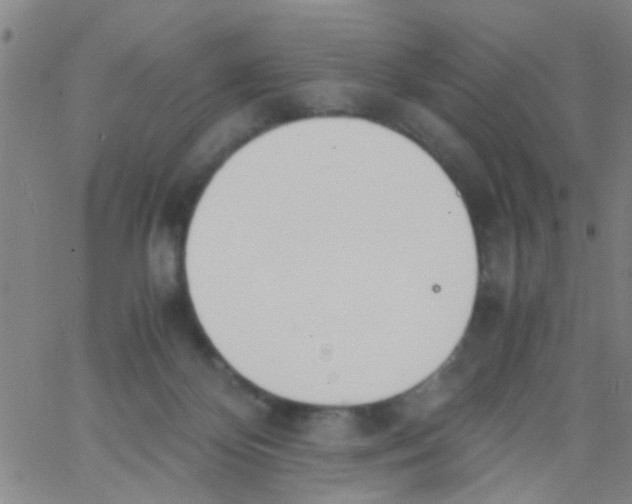 X0000062670124200601181910