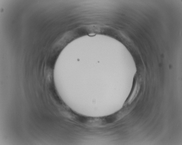 X0000062670125200601181910