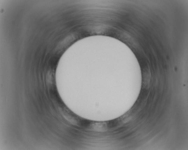 X0000062670126200601181910