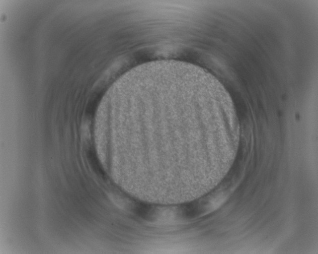 X0000062670127200601181910