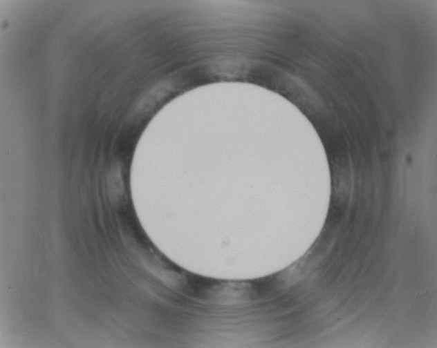 X0000062670128200601181910