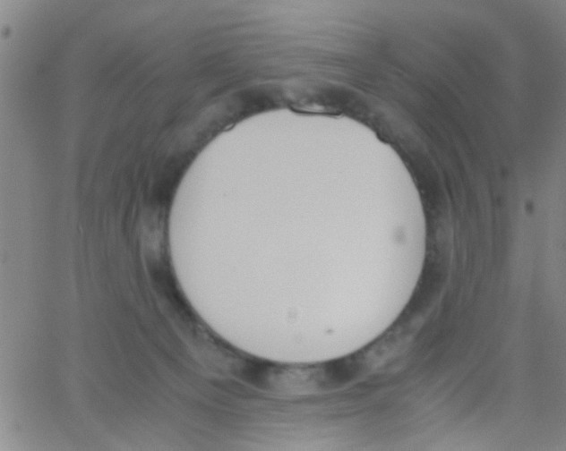 X0000062670129200601181910