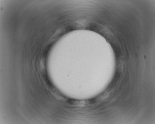 X0000062670131200601181910