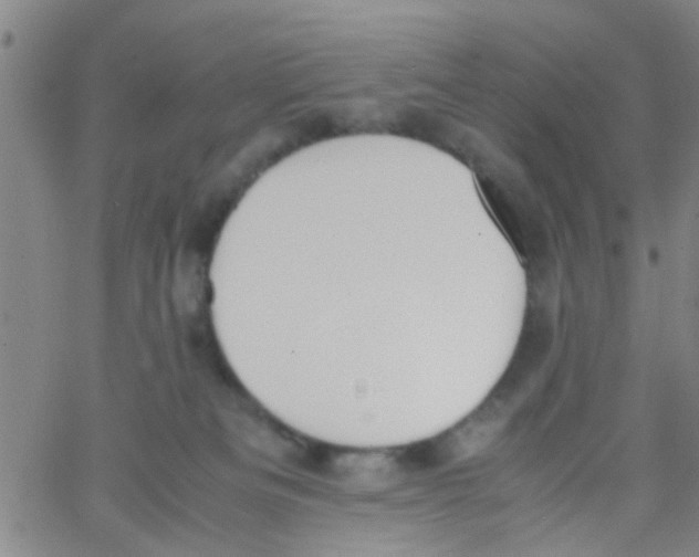 X0000062670133200601181910