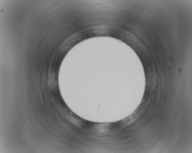 X0000062670136200601181910