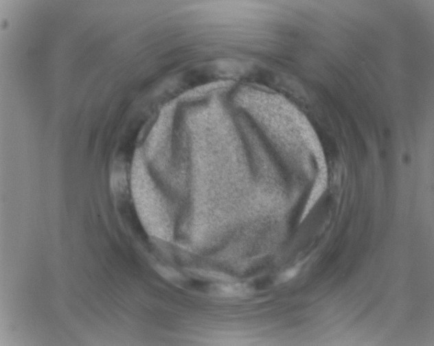 X0000062670137200601181910