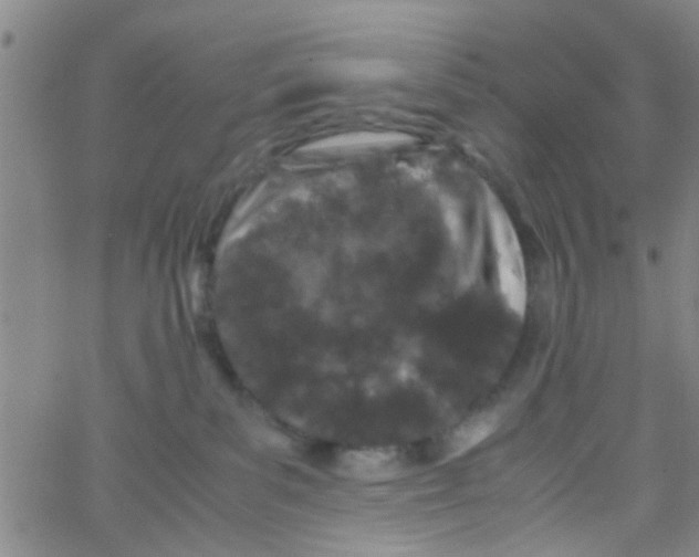 X0000062670139200601181910