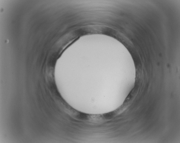 X0000062670141200601181910