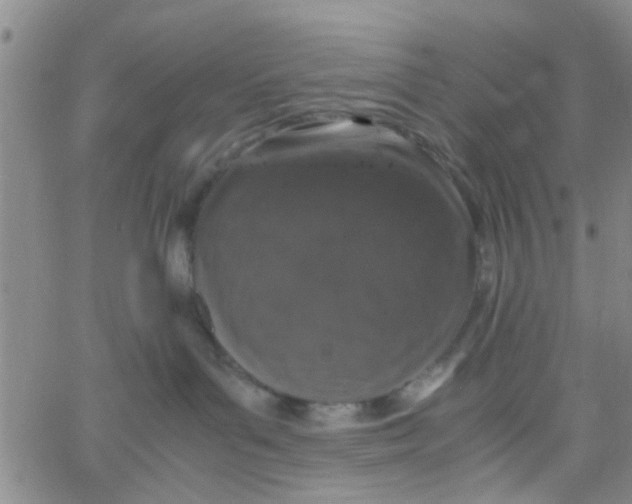 X0000062670143200601181910