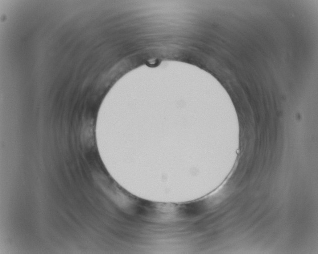 X0000062670144200601181910