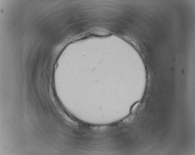 X0000062670145200601181909