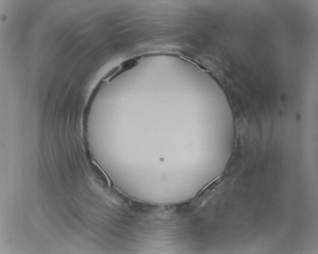 X0000062670148200601181909