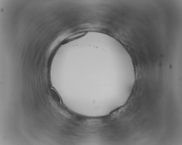 X0000062670150200601181909