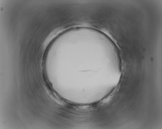 X0000062670151200601181909