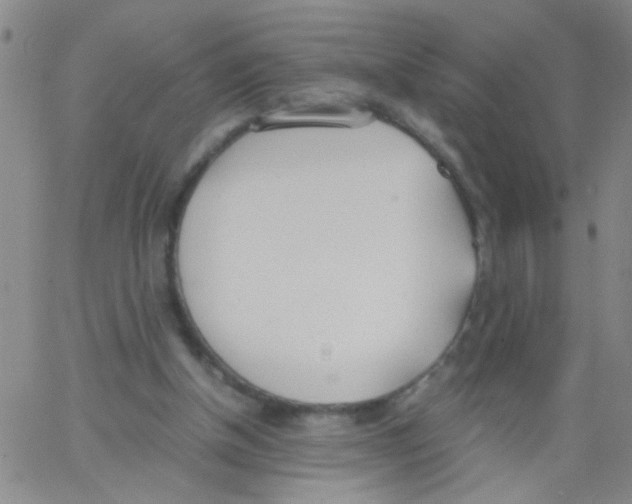 X0000062670154200601181909